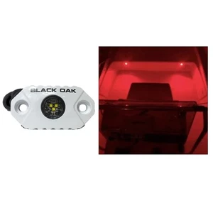 Black Oak Rock Accent Light - Red LEDs - White Housing - Picture 1 of 1