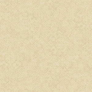 Whisper Weave Oatmeal 44" fabric by Benartex, 13610-72, cotton - Picture 1 of 1
