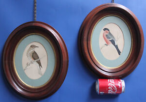 Antique Painting Birds Ornithology Redwing & Bullfinch 18th Century Original 