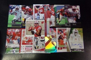 20 DIFFERENT WISCONSIN BADERS CARDS WITH SCOTT NELSON AUTOGRAPH