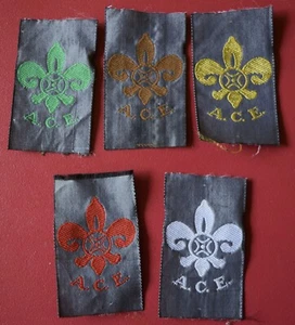 LOTE DE 5 INSIGNIAS SCOUTS-BADGE SCOUTS ASOCIACION CANTABRA DE ESCULTISMO # 1568 - Imagen 1 de 1