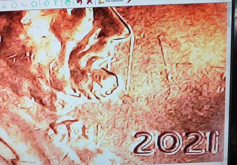 2021 p Lincoln shield cent die clash ***MINT ERROR*** Cover