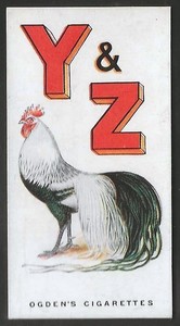 OGDENS-POULTRY ALPHABET 1924-#25- YOKOHAMA AND ZEST