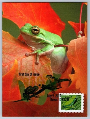 #5397 American Green Tree Frog FDC Maxi Card w/Pictorial Cancel - Image 1 of 2