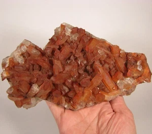 8,2" ROTE QUARZ Hämatoid Kristalle Cluster - Tinejdad, Marokko - 1,7 Pfund - Bild 1 von 9
