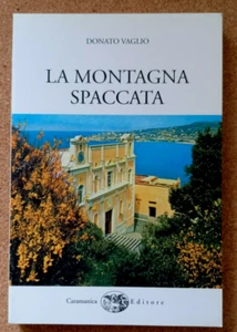 LIBRO LA MONTAGNA SPACCATA E IL SUO SANTUARIO Donato Vaglio 2005 Caramanica - Picture 1 of 8