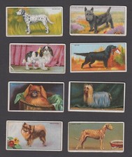 Major Drapkin Cigarette Cards 1924  Dogs & Their Treatment x8