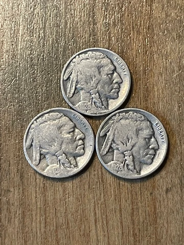 1928PDS Buffalo Nickels Cover