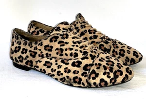 GB Niñas Gianni Bini Para mujeres Estampado de Leopardo Oxford Puntera Zapatos Talla 8 Informales - Imagen 1 de 10
