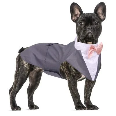 Tuxedo for Medium Dogs Suit and Bandana Set Wedding Outfit With Bow Tie Forma... - Image 1 of 4