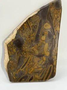 RARE Maligano Brecciated Jasper Polished Slab 5 7/8" by 3 3/4"; 4.9 oz. - Picture 1 of 20