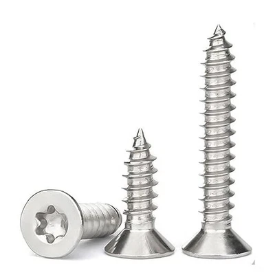 VITI IN ACCIAIO INOX TRUCIOLARI PER LEGNO D. 3mm 3,5mm 4 4,5 5 6mm IMPRONTA TORX - Immagine 1 di 4