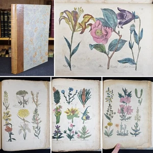 1814 4to Culpeper's Complete Herbal Physician MEDICINAL OCCULT Hand Col Plates - Picture 1 of 23