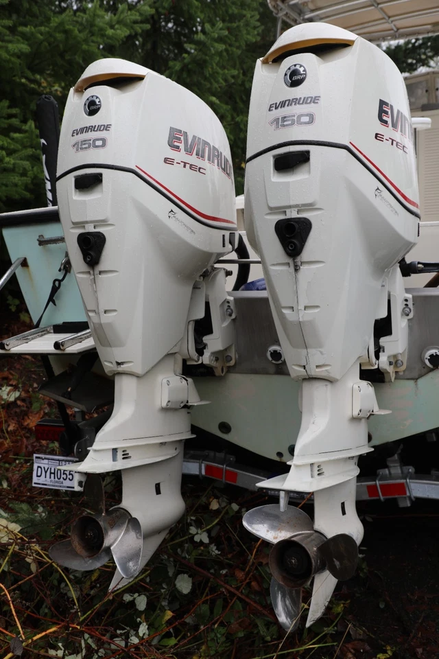 Evenrude 2007 150 hp motores fueraborda 2 por 1 oferta Foto 1 de 1