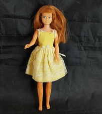 barbie's cousin skipper