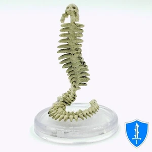 Skeletal Construct - Armies of the Dead #13 Pathfinder Battles D&D Miniature - Picture 1 of 2
