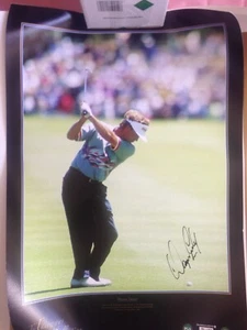 WAYNE GRADY FAIRWAYS COLECCIÓN FIRMADA A MANO 071/250 EDICIÓN LIMITADA IMPRESIÓN CERTIFICADO DE AUTENTICIDAD - Imagen 1 de 2