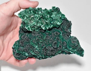 4.92" Shimmering Chatoyant Fibrous MALACHITE Mindingi Mine, Congo Q774 - Picture 1 of 10