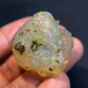 97.20 Cts Natural Ethiopian Opal Raw Welo Opal Multi Fire Gemstone Opal Rough - Picture 1 of 9