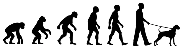 'Evolution' pegatina de coche Boxer Dog Walker, calcomanía de vinilo Foto 1 de 1