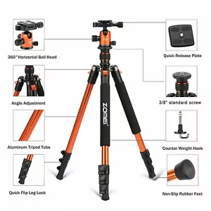 Q555 Aluminium Tripod Professional&Ball Head Travel for Canon Nikon Camera ZOMEI - Picture 1 of 12