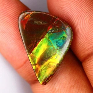 12.82 Cts Canadian Ammolite Multi Color Play 100% Natural Loose Gemstone - Picture 1 of 2