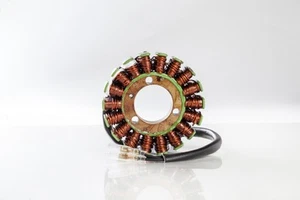 Rick's Motorsport Stator 21-238 - Picture 1 of 1