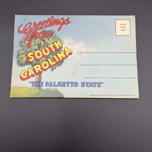 Folleto desplegable vintage de saludos de Carolina del Sur 9 doble cara - Imagen 1 de 11