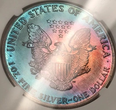 American Eagle 1987 $1 1 oz plata .999 NGC detalles sin circular tonificación arco iris artificial Foto 1 de 4