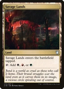 1x Savage Lands NM Eng MTG - Commander 2018 - Bild 1 von 1