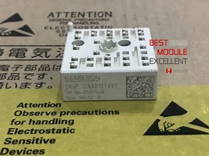 1PCS SEMIKRON SKIIP12NAB12T4V1 power supply module NEW 100% Quality Assurance - Picture 1 of 5