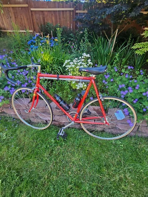 Vintage Schwinn Paramount Series 2 PDG Road Bike 14 Speed Red - Image 1 of 4