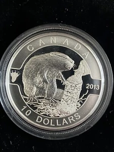 Canadá Reina Isabel II 2013 10 dólares plata fina .9999 9999 puro El castor - Imagen 1 de 4