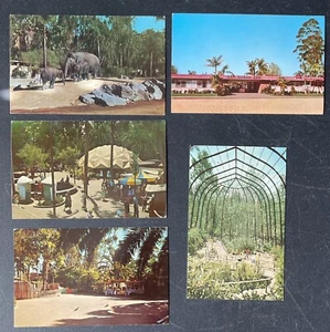 San Diego Zoo Vintage PostCard Lot Of 5 - Picture 1 of 3