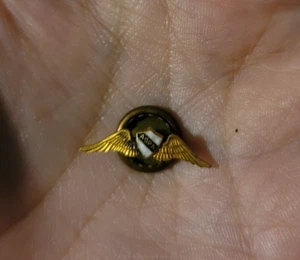 AOPA (ASOCIACIÓN DE PILOTOS DE PROPIETARIOS DE AERONAVES) PIN ALAS TONO DORADO (JP95-E5000 - Imagen 1 de 2