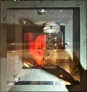 Alice In Chains - Jar Of Flies (LP, EP, RE, RM, Pur + Box, Ltd) (Near Mint (NM o - Picture 1 of 5