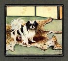 c1920 Antique Japanese Chin Print Vernon Stokes Dog Art Illustration 4414b