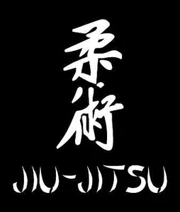 JIU-JITSU KANJI Vinyl Decal (3 Sizes,12 Colors) SD - Picture 1 of 2