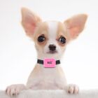 Bark Doctor BD656v Mighty Mini BARK STOP Dog Collar *PERFECT FIT FOR CHIHUAHUAS 