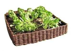 Salad Vegetable Raised Bed Garden Planter Woven Willow Hurdle Surround 75x75x15c - Picture 1 of 7