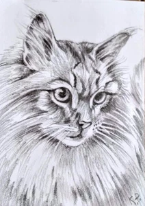 ACEO cat watercolor pencil by the author original 3,5"х2,5" 9x6cm not print - Picture 1 of 1