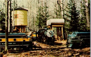 Vintage Postcard Fairview MI Pinconning Blind River Train Ride Roadside Au Sable - Picture 1 of 3