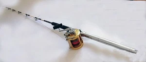 Canna da Pesca DAIWA Per Traina D'Altura Completa Di Mulinello Penn Reels 50 TW - Foto 1 di 17