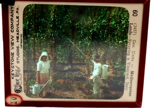 Hand Colored 60 3457 Mediterranean Italy Keystone View Magic Lantern slide - Picture 1 of 5