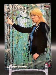 SAYURI OKINO LLPW Japan Japanese Women’s Pro wrestling BBM Card 2004