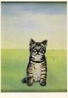 Cpsm / Chat / Cat  // Illustrateur // Tilly Drewes 1984