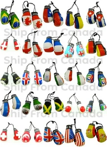 High Quality Country Flag MINI BOXING GLOVES - Rear View Mirror Gloves - New - Picture 1 of 136