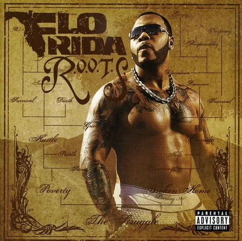 Flo Rida : R.O.O.T.S. ( Routes of Overcoming the Struggle ) - Audio CD  Foto 1 de 1