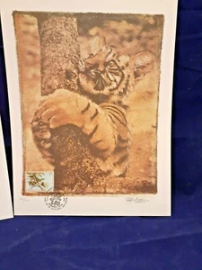 WFUNA ENDANGERED SPECIES - SIBYLLE ERNI SIGNIERT mit COA - Bild 1 von 2