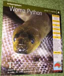 Endangered Species Animal Card - Reptiles - Woma Python #4 - Picture 1 of 2